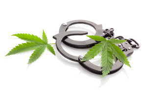 Felony Marijuana Charges